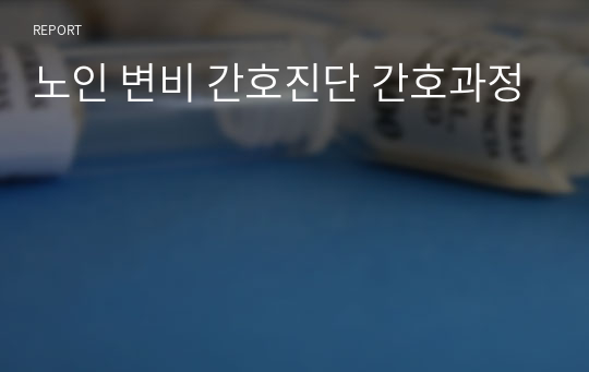 노인 변비 간호진단 간호과정