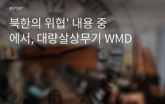 북한의 위협&#039; 내용 중에서, 대량살상무기 WMD