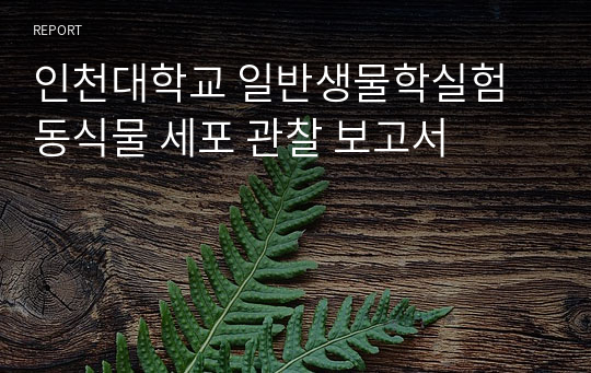 인천대학교 일반생물학실험 동식물 세포 관찰 보고서