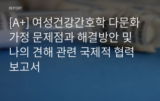 [A+] 여성건강간호학 다문화 가정 문제점과 해결방안 및 나의 견해 관련 국제적 협력 보고서