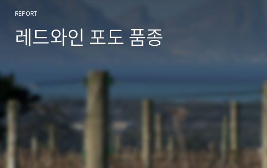 레드와인 포도 품종