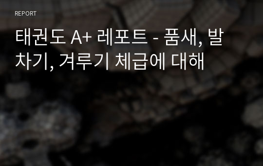 &lt;태권도 A+ 레포트&gt; 품새, 발차기, 겨루기 체급에 대해