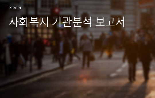 사회복지 기관분석 보고서