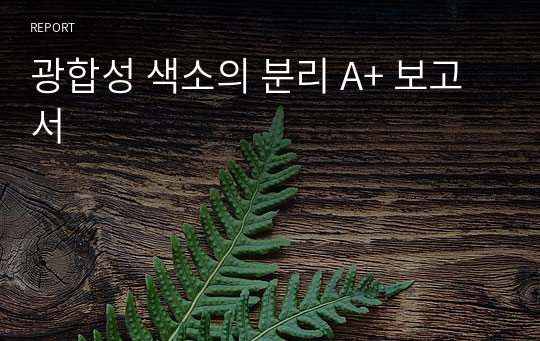 광합성 색소의 분리 A+ 보고서