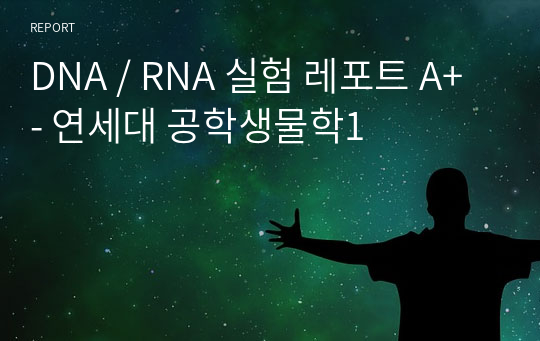 DNA / RNA 실험 레포트 A+ - 연세대 공학생물학1