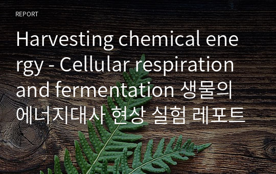 Harvesting chemical energy - Cellular respiration and fermentation 생물의 에너지대사 현상 실험 레포트 A+ - 연세대 공학생물학1