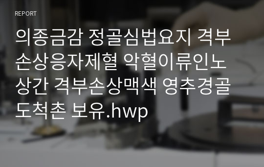 의종금감 정골심법요지 격부손상응자제혈 악혈이류인노상간 격부손상맥색 영추경골도척촌 보유.hwp