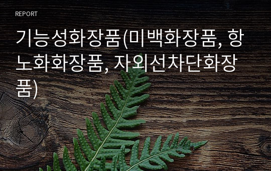 기능성화장품(미백화장품, 항노화화장품, 자외선차단화장품)