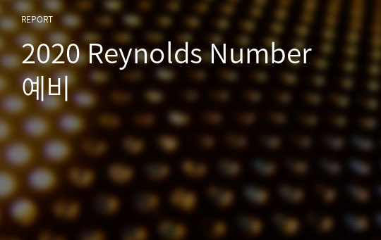 2020 Reynolds Number 예비
