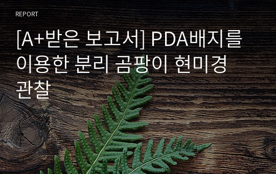 [A+받은 보고서] PDA배지를 이용한 분리 곰팡이 현미경 관찰