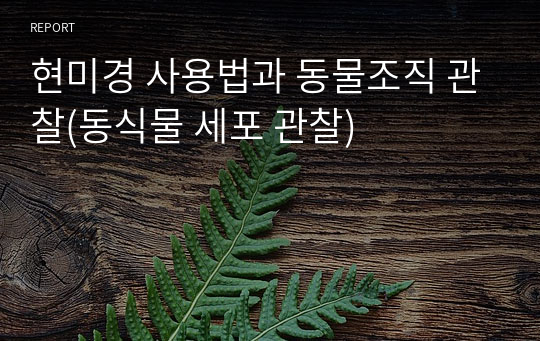 현미경 사용법과 동물조직 관찰(동식물 세포 관찰)