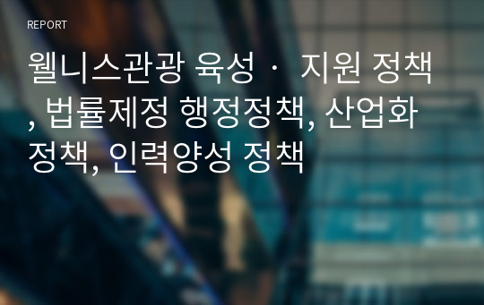 웰니스관광 육성‧ 지원 정책, 법률제정 행정정책, 산업화 정책, 인력양성 정책