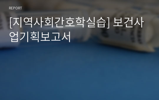 [지역사회간호학실습] 보건사업기획보고서