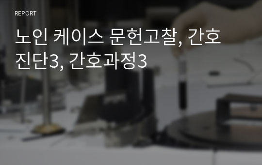 노인 케이스 문헌고찰, 간호진단3, 간호과정3