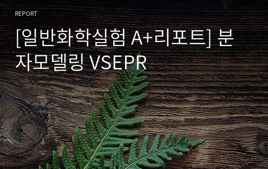 [일반화학실험 A+리포트] 분자모델링 VSEPR