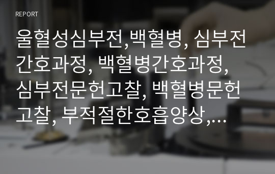 울혈성심부전,백혈병, 심부전간호과정, 백혈병간호과정, 심부전문헌고찰, 백혈병문헌고찰, 부적절한호흡양상, 출혈위험성