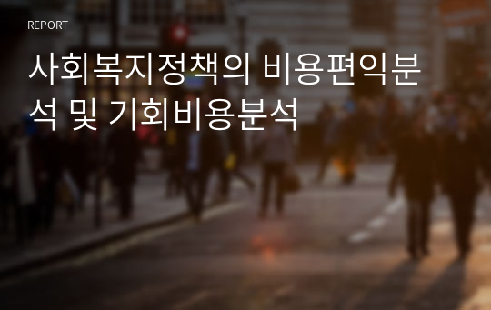 사회복지정책의 비용편익분석 및 기회비용분석