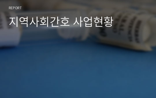 지역사회간호 사업현황