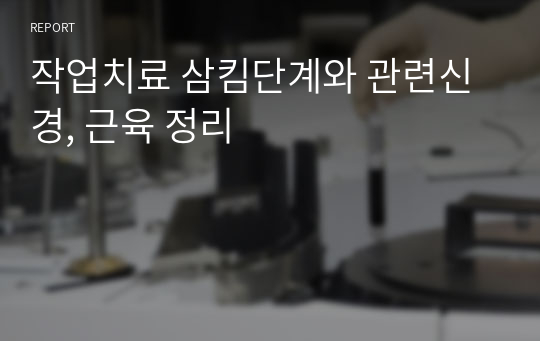 작업치료 삼킴단계와 관련신경, 근육 정리