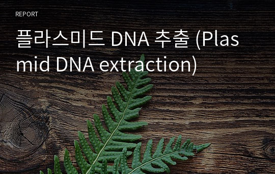 플라스미드 DNA 추출 (Plasmid DNA extraction)