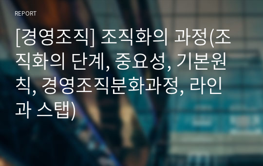 [경영조직] 조직화의 과정(조직화의 단계, 중요성, 기본원칙, 경영조직분화과정, 라인과 스탭)