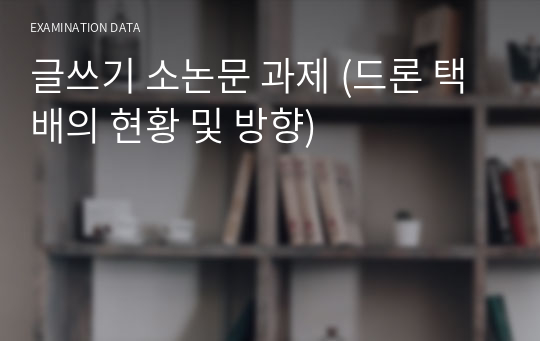 글쓰기 소논문 과제 (드론 택배의 현황 및 방향)