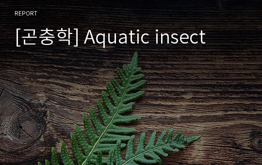 [곤충학] Aquatic insect