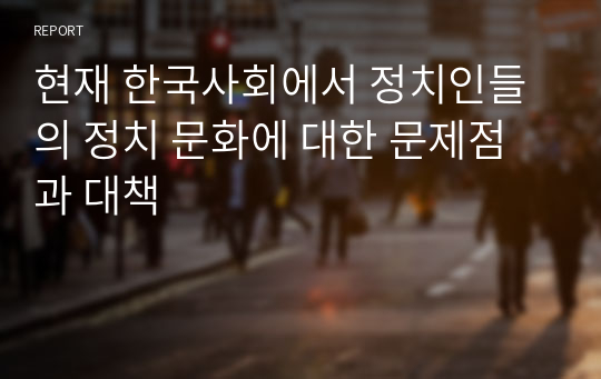 현재 한국사회에서 정치인들의 정치 문화에 대한 문제점과 대책