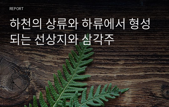 하천의 상류와 하류에서 형성되는 선상지와 삼각주