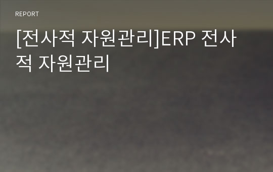 [전사적 자원관리]ERP 전사적 자원관리