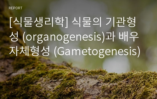 [식물생리학] 식물의 기관형성 (organogenesis)과 배우자체형성 (Gametogenesis)