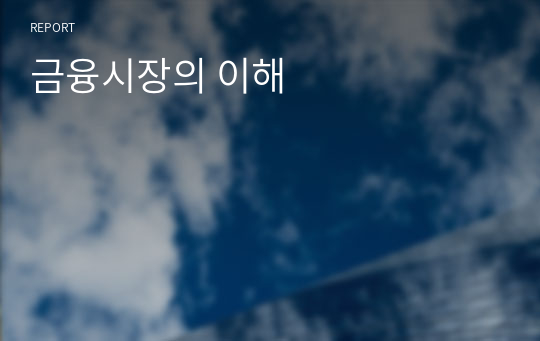 금융시장의 이해