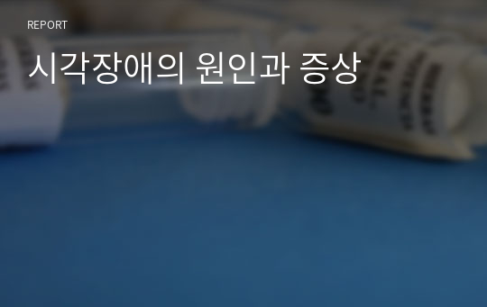 시각장애의 원인과 증상