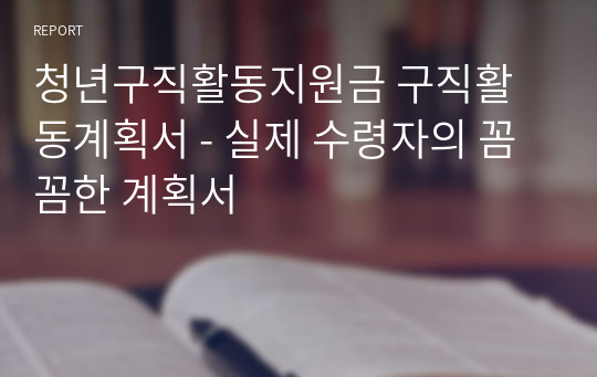 청년구직활동지원금 구직활동계획서 - 실제 수령자의 꼼꼼한 계획서