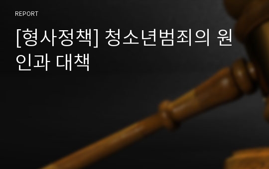 [형사정책] 청소년범죄의 원인과 대책