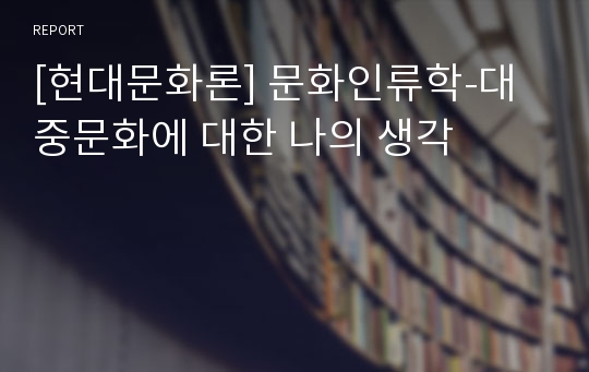 [현대문화론] 문화인류학-대중문화에 대한 나의 생각