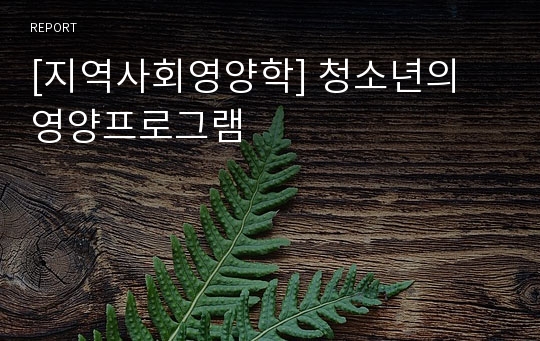 [지역사회영양학] 청소년의 영양프로그램