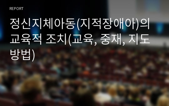 정신지체아동(지적장애아)의 교육적 조치(교육, 중재, 지도방법)