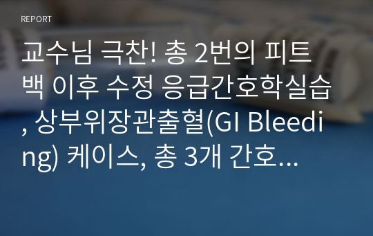 교수님 극찬! 총 2번의 피트백 이후 수정 응급간호학실습, 상부위장관출혈(GI Bleeding) 케이스, 총 3개 간호진단에서 2개 수행계획 세움 -&gt; 문헌고찰, 검사분석결과를 정말 세세하게 작성했습니다. 간호진단도요!