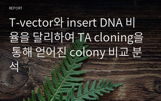 T-vector와 insert DNA 비율을 달리하여 TA cloning을 통해 얻어진 colony 비교 분석