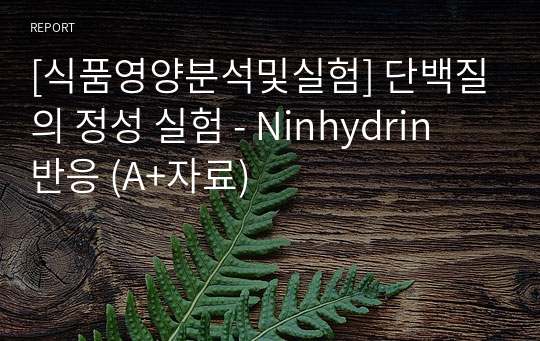 [식품영양분석및실험] 단백질의 정성 실험 - Ninhydrin 반응 (A+자료)