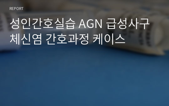 성인간호실습 AGN 급성사구체신염 간호과정 케이스