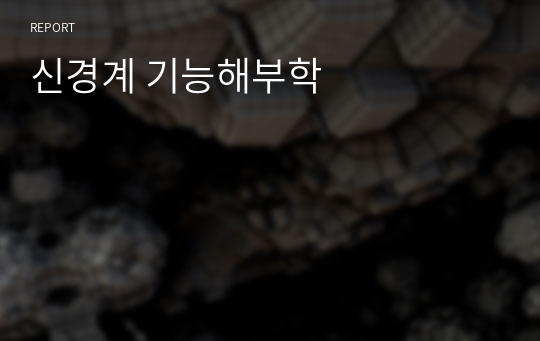 신경계 기능해부학