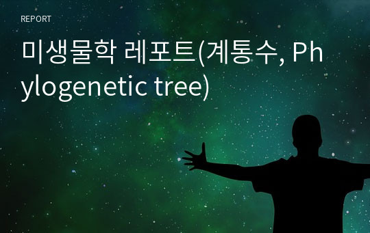 미생물학 레포트(계통수, Phylogenetic tree)