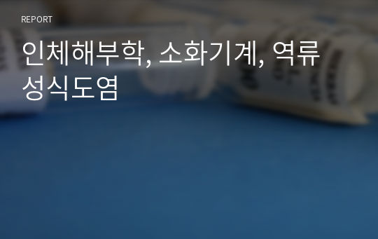 인체해부학, 소화기계, 역류성식도염