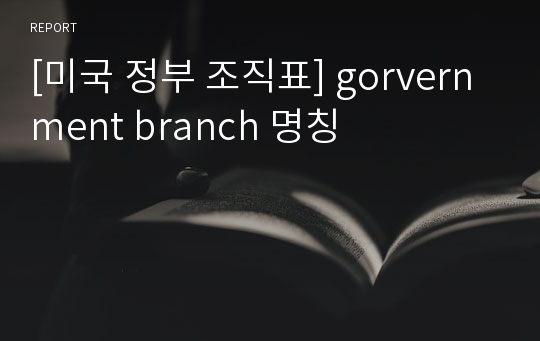 [미국 정부 조직표] gorvernment branch 명칭