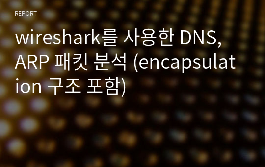 wireshark를 사용한 DNS, ARP 패킷 분석 (encapsulation 구조 포함)