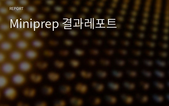 Miniprep 결과레포트 [A+]