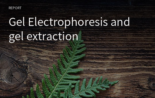 Gel Electrophoresis and gel extraction