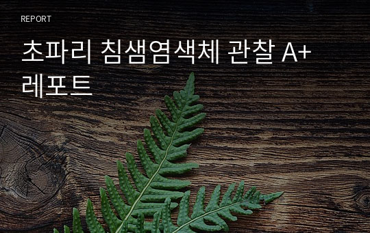 초파리 침샘염색체 관찰 A+ 레포트